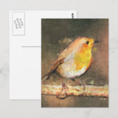 Robin RedbormamRobin Briefkaart (Voorkant / Achterkant)