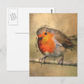 Robin RedbormamRobin Briefkaart (Voorkant / Achterkant)