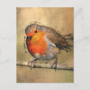Robin RedbormamRobin Briefkaart