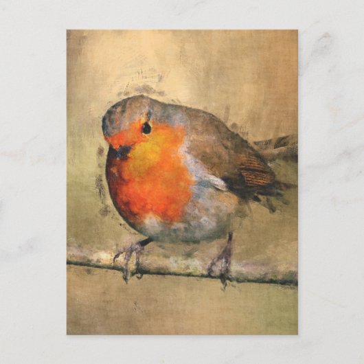 Robin RedbormamRobin Briefkaart (Voorkant)