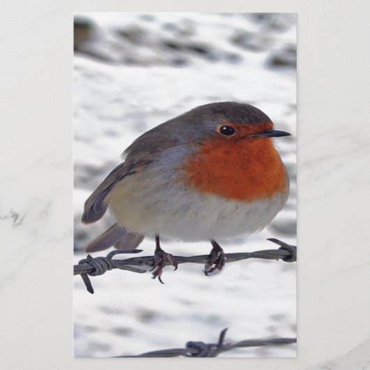 Robin RedbormamRobin Briefpapier (Voorkant)