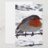 Robin RedbormamRobin Briefpapier (Voorkant / Achterkant)