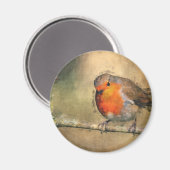 Robin RedbormamRobin Magneet (Voorkant / Achterkant)