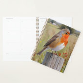 Robin RedbormamRobin Planner (Display)