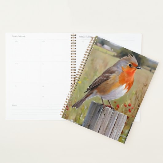 Robin RedbormamRobin Planner (Display)