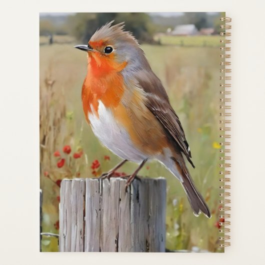 Robin RedbormamRobin Planner (Achterkant)