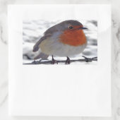 Robin RedbormamRobin Rechthoekige Sticker (Tas)