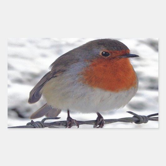 Robin RedbormamRobin Rechthoekige Sticker (Voorkant)