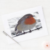 Robin RedbormamRobin Rechthoekige Sticker (Envelop)