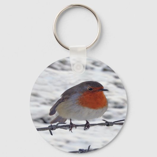 Robin RedbormamRobin Sleutelhanger (Voorkant)