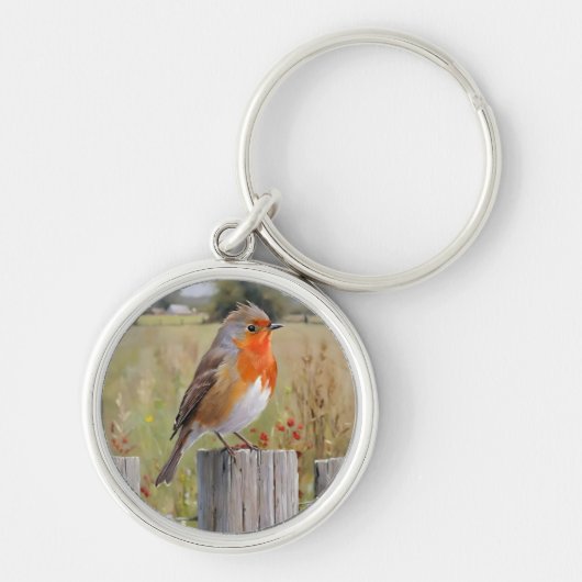 Robin RedbormamRobin Sleutelhanger (Voorkant)