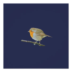 Robin RedborPoster Perfect Poster