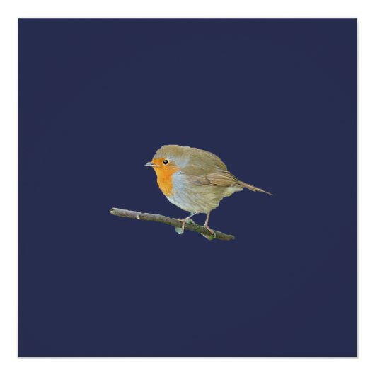 Robin RedborPoster Perfect Poster (Voorkant)