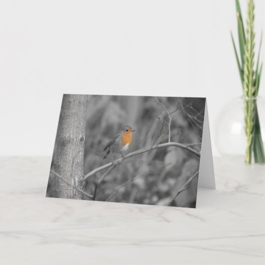 Robin RedborstKerstmis Kaart (Voorkant)