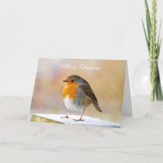 Robin RedborstKerstmis Kaart