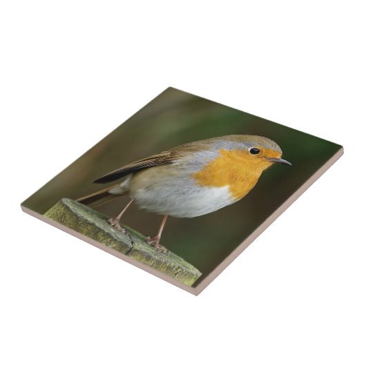 Robin RedborTile Tegeltje (Zijkant)