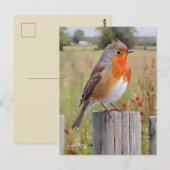 Robin Redbreast Briefkaart (Voorkant / Achterkant)