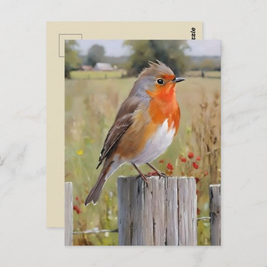 Robin Redbreast Briefkaart (Voorkant / Achterkant)