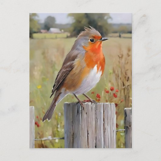 Robin Redbreast Briefkaart (Voorkant)
