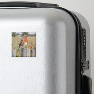 Robin Redbreast Magnet
