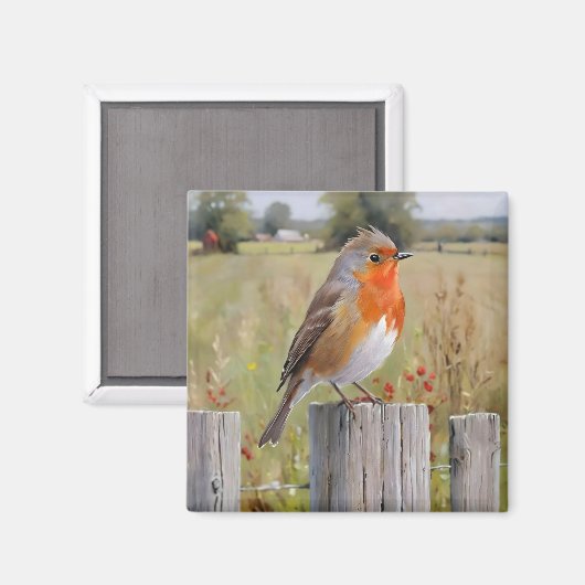 Robin Redbreast Magnet (Voorkant / Achterkant)