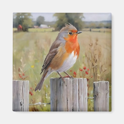 Robin Redbreast Magnet (Voorkant)
