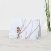 Robin Redbreast Note Kaart (Voorkant)