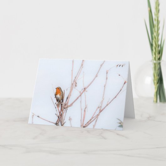 Robin Redbreast Note Kaart (Voorkant)