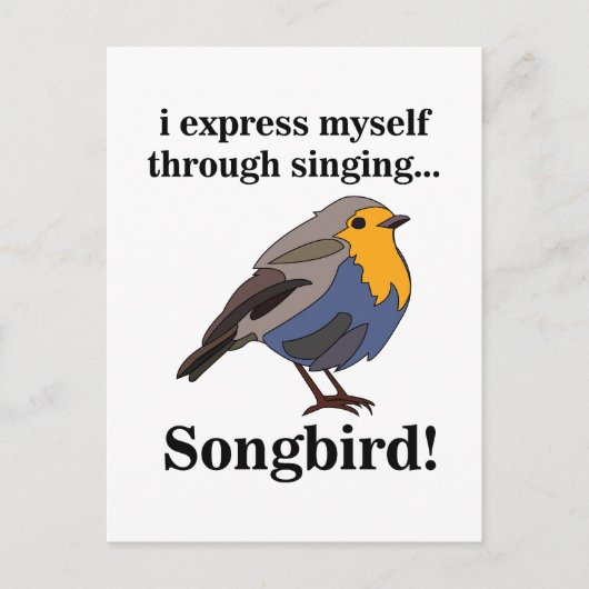 Robin Redbreast Songbird Briefkaart (Voorkant)