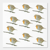 Robin Redbreast Wallpaper Behang (Voorkant)
