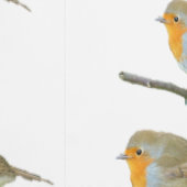 Robin Redbreast Wallpaper Behang (Zoom)