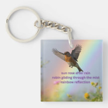 Robin Regenboog
