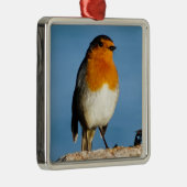 Robin rode borst voor Premium Square Ornament (Rechts)