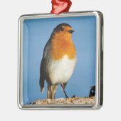 Robin rode borst voor Premium Square Ornament (Links)