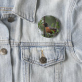 Robin Ronde Button 5,7 Cm (In situ)