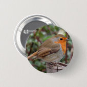 Robin Ronde Button 5,7 Cm (Voorkant /achterkant)