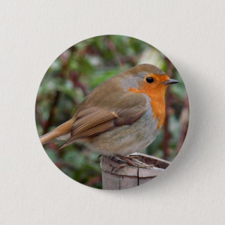 Robin Ronde Button 5,7 Cm