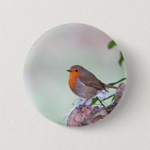 Robin Ronde Button 5,7 Cm