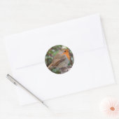 Robin Ronde Sticker (Envelop)