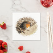 ROBIN SERVETTEN (Insitu)