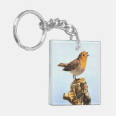 Robin singing sleutelhanger (Voorkant Links)