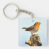 Robin singing  sleutelhanger (Voorkant)