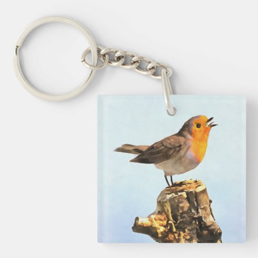 Robin singing sleutelhanger (Voorkant)