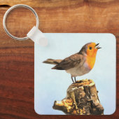 Robin singing sleutelhanger (Voorkant)