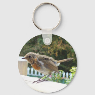 Robin Sleutelhanger