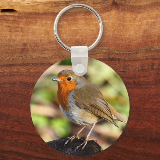 Robin Sleutelhanger (Voorkant)