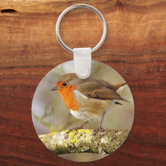 Robin Sleutelhanger (Voorkant)