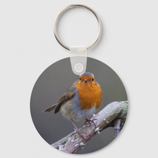 Robin Sleutelhanger (Voorkant)