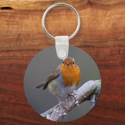 Robin Sleutelhanger (Voorkant)