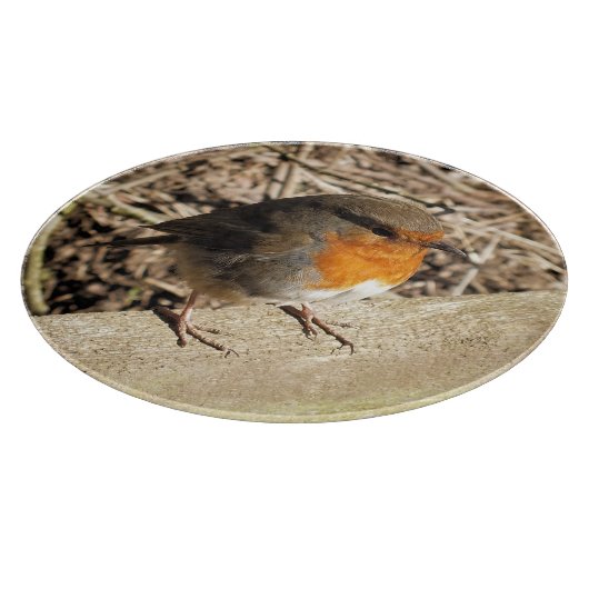 ROBIN SNIJPLANK (Hoek)